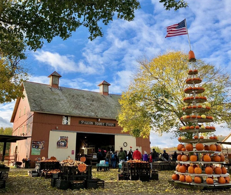 The Best Pumpkin Patches in Ohio